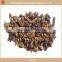 Mushroom & Truffles supplier