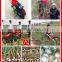 Fresh garlic harvester for sale