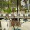 expanded clay pebbles for hydroponics