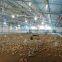 China light steel chicken coop/poultry shed building for sale