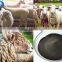 Sodium Humate Powder For Animals Feed Additive