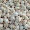 High quality garlic separating/garlic breaking machine