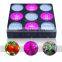 600W Spectrum Slective Led Grow Light,Led Grow Light 600W