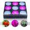 600W Spectrum Slective Led Grow Light, Plant Grow And Flower Led Grow Light