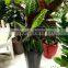 Garden flower pots/home decor plastic garden pots,plant pots,nursery pots,self-watering planter,sub irrigation flower planter