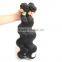  hot sale tangle free body wave raw Indian hair directly from India