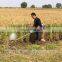 Brush Cutter Paddy grass trimmer/brush cutter/grass cutter