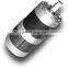 12V 24V  Planetary Gearbox dc gear motor SMM501E