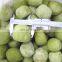 Kiwi Halves Frozen Chinese Kiwi Fruits