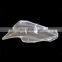 Front headlamps transparent lampshades lamp shell For LEXUS CT200 CT200h headlights cover lens Replacement