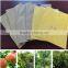 Peach fruit covering paper bag