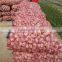 Chinese Fresh Normal White Garlic for New Zealand - 5.5cm, 500g/Mesh Bag