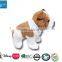 STUFFED ANIMALS SITTING BULLDOG