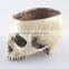 Fancy Home Animal Big Skull Model Multifunctional Flower Pot