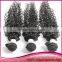 Brazilian Hair 8inch Hair Weaving Remy Extension Kinky Curly Brazilian Remy Human Hair Extension Weaving                        
                                                Quality Choice