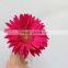 Various hotsell hot sale fresh gerbera