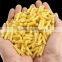 Stainless steel hollow pasta machine