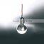 Clear Globe Bulbs Suspension Lights Chandelier with 19 Heads for Projects