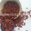Dried Goji Cream Names Of All Dry Fruits
