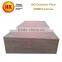 28mm Container Floor Hot Pressed Plywood Container Usage
