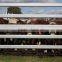 cheap super quality heavy duty hot dipped galvanized cattle yard panels, livestock panels hot sale