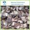 Frozen Shiitake Mushroom Whole and Quarter Cuts
