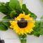 Various Classical Peonies Cut Flowers Sunflower From Kunming,China