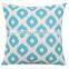 Competitive Price Attractive Cotton Filled Pillows