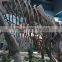 Outdoor Playground Museum Equipment Dinosaur Skeleton For Sale