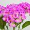 2016 Most Hot Selling Artificial Real Touch Wedding Flower Hydrangea