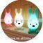 Free Sample! Hot Sale Baby Led Mini Torch Night Light Projector