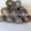 Bulk white yak Buffalo Ox horn/cow horn tip
