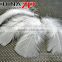 Trade Assurance ZPDECOR Crafts Factory Wholesale Bulk Bleached White Turkey Fluff Flat T-Base Body Plumage Feathers