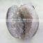 new fashion big geode beautiful narural crystal geode skull for sale