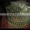 High Quality Free Sample Common Coil Nail