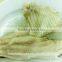 Frozen silver carp/ Asian Carp
