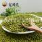 Sprouting Green Mung Bean and sale 2016 crop with high quality