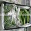 china fresh snow pea and sugar snap pea