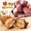 Organic Roasted Peeled Chestnuts Snacks-- Natural sweet and soft taste