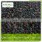 Reliable Quality Frozne Blackberry