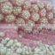 EGYPTION ONION farm fresh shallot onions  super quality  with great price promotion