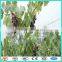 green plastic fruit collection net