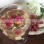 Flower Buds Tea Rose Pink Rose Flower Tea