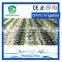 Most popular products high quality drip tape  China supplier wholesales