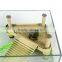 Multifunctional water amusement park for turtle climbing