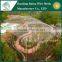 2017 China suppliers Flexible Netting Aviary mesh