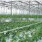 China direct selling beautiful high quality Venlo greenhouse can be used to planting grows