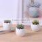 Amazon Hotsell Eggs Design Ceramic Succulent Planters