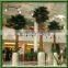 Established Artificial Washington Palm Trees Type House Plant Artificial Plants