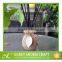 Nice design and decorative factory direct sale ecofriendly home air freshener glass reed diffuser decorative air freshener